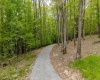 120 Laurel Loop, Bruceton Mills, West Virginia 26525, ,Lots/land,For Sale,Laurel,10159644