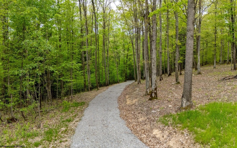 120 Laurel Loop, Bruceton Mills, West Virginia 26525, ,Lots/land,For Sale,Laurel,10159644