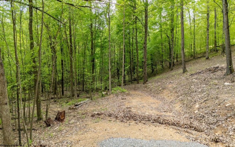 120 Laurel Loop, Bruceton Mills, West Virginia 26525, ,Lots/land,For Sale,Laurel,10159644