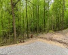 120 Laurel Loop, Bruceton Mills, West Virginia 26525, ,Lots/land,For Sale,Laurel,10159644