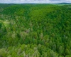 TBD Tract 2 Greens Run, Kingwood, West Virginia 26537, ,Lots/land,For Sale,Tract 2 Greens,10159665