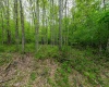 TBD Tract 2 Greens Run, Kingwood, West Virginia 26537, ,Lots/land,For Sale,Tract 2 Greens,10159665