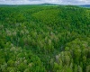 TBD Tract 2 Greens Run, Kingwood, West Virginia 26537, ,Lots/land,For Sale,Tract 2 Greens,10159665