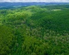 TBD Tract 1 Greens Run, Kingwood, West Virginia 26537, ,Lots/land,For Sale,Tract 1 Greens,10159664