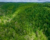 TBD Tract 1 Greens Run, Kingwood, West Virginia 26537, ,Lots/land,For Sale,Tract 1 Greens,10159664