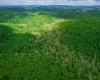 TBD Tract 1 Greens Run, Kingwood, West Virginia 26537, ,Lots/land,For Sale,Tract 1 Greens,10159664