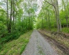 TBD Tract 1 Greens Run, Kingwood, West Virginia 26537, ,Lots/land,For Sale,Tract 1 Greens,10159664