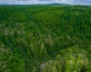 TBD Tract 1 Greens Run, Kingwood, West Virginia 26537, ,Lots/land,For Sale,Tract 1 Greens,10159664