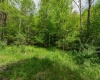 TBD Tract 1 Greens Run, Kingwood, West Virginia 26537, ,Lots/land,For Sale,Tract 1 Greens,10159664