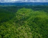 TBD Tract 1 Greens Run, Kingwood, West Virginia 26537, ,Lots/land,For Sale,Tract 1 Greens,10159664