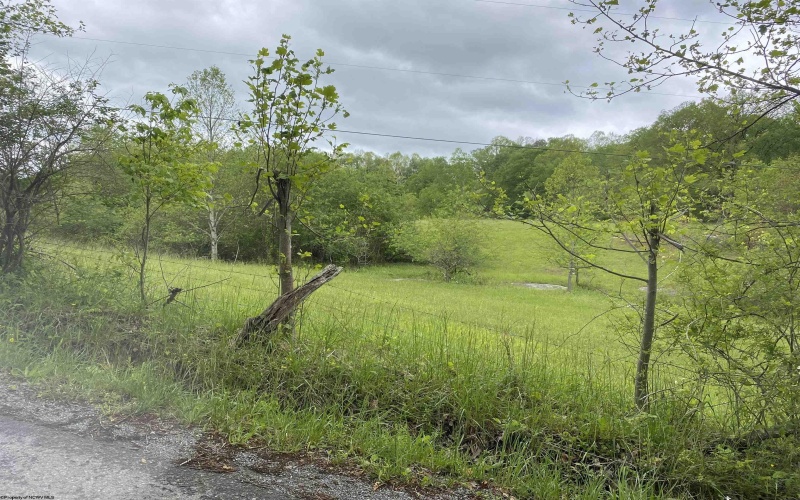 1001 Burner Road, Philippi, West Virginia 26416, ,Lots/land,For Sale,Burner,10159675