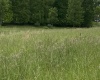 1001 Burner Road, Philippi, West Virginia 26416, ,Lots/land,For Sale,Burner,10159675