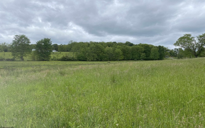 1001 Burner Road, Philippi, West Virginia 26416, ,Lots/land,For Sale,Burner,10159675