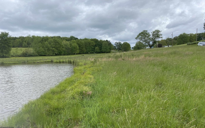 1001 Burner Road, Philippi, West Virginia 26416, ,Lots/land,For Sale,Burner,10159675