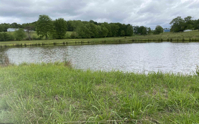 1001 Burner Road, Philippi, West Virginia 26416, ,Lots/land,For Sale,Burner,10159675