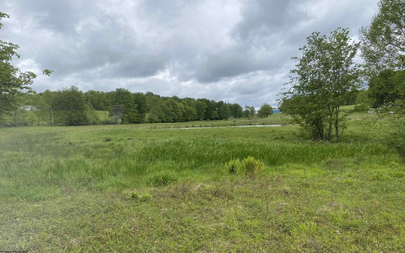 1001 Burner Road, Philippi, West Virginia 26416, ,Lots/land,For Sale,Burner,10159675