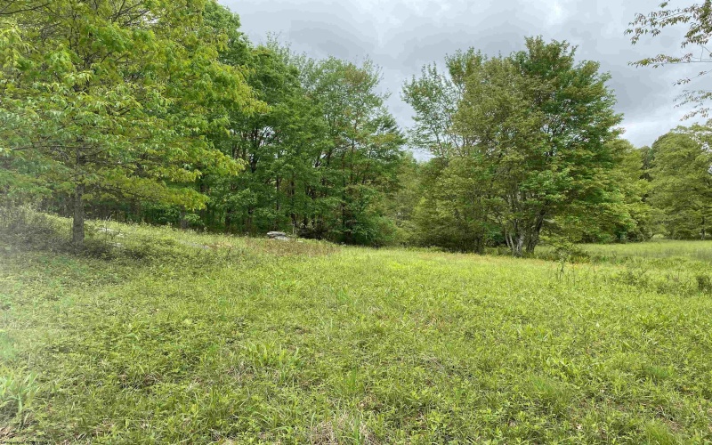 1001 Burner Road, Philippi, West Virginia 26416, ,Lots/land,For Sale,Burner,10159675