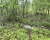 1001 Burner Road, Philippi, West Virginia 26416, ,Lots/land,For Sale,Burner,10159675