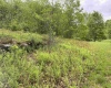 1001 Burner Road, Philippi, West Virginia 26416, ,Lots/land,For Sale,Burner,10159675