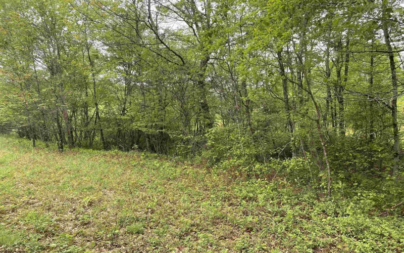 1001 Burner Road, Philippi, West Virginia 26416, ,Lots/land,For Sale,Burner,10159675