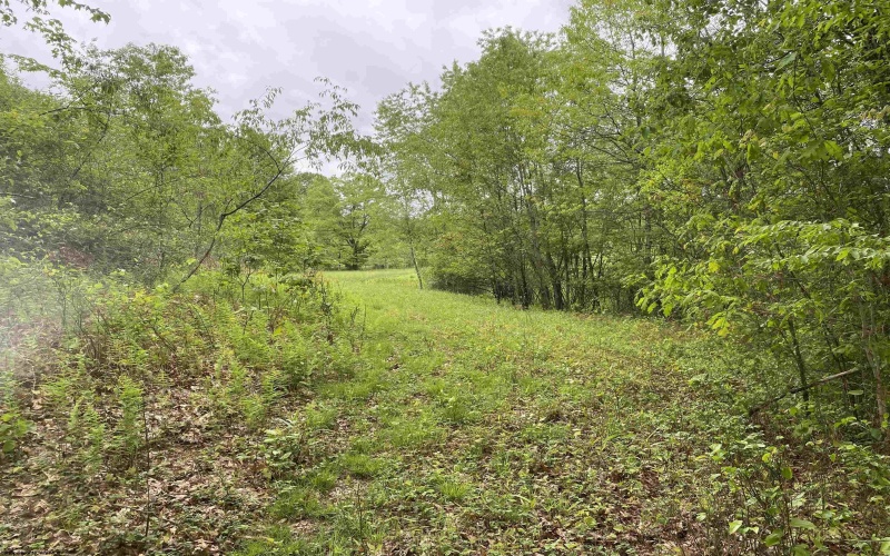 1001 Burner Road, Philippi, West Virginia 26416, ,Lots/land,For Sale,Burner,10159675