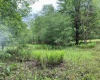 1001 Burner Road, Philippi, West Virginia 26416, ,Lots/land,For Sale,Burner,10159675