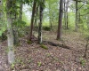 1001 Burner Road, Philippi, West Virginia 26416, ,Lots/land,For Sale,Burner,10159675
