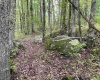 1001 Burner Road, Philippi, West Virginia 26416, ,Lots/land,For Sale,Burner,10159675