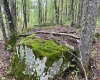 1001 Burner Road, Philippi, West Virginia 26416, ,Lots/land,For Sale,Burner,10159675