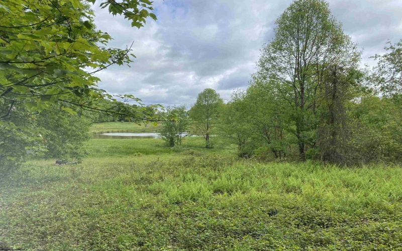 1001 Burner Road, Philippi, West Virginia 26416, ,Lots/land,For Sale,Burner,10159675