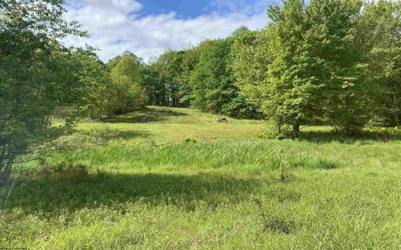 1001 Burner Road, Philippi, West Virginia 26416, ,Lots/land,For Sale,Burner,10159675
