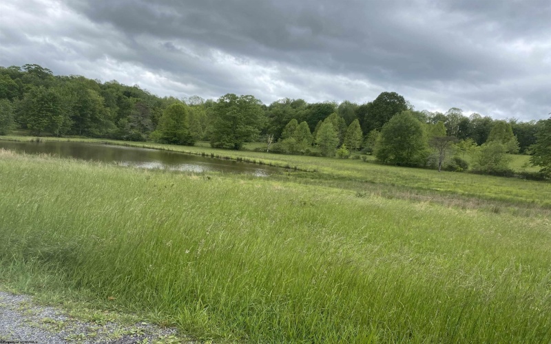 1001 Burner Road, Philippi, West Virginia 26416, ,Lots/land,For Sale,Burner,10159675