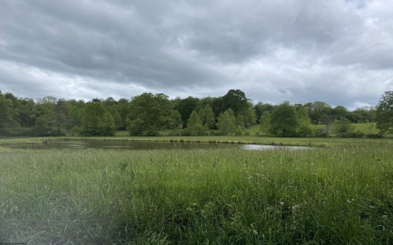 1001 Burner Road, Philippi, West Virginia 26416, ,Lots/land,For Sale,Burner,10159675