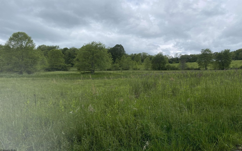 1001 Burner Road, Philippi, West Virginia 26416, ,Lots/land,For Sale,Burner,10159675