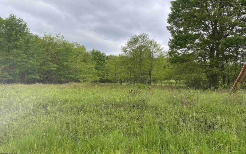 1001 Burner Road, Philippi, West Virginia 26416, ,Lots/land,For Sale,Burner,10159675