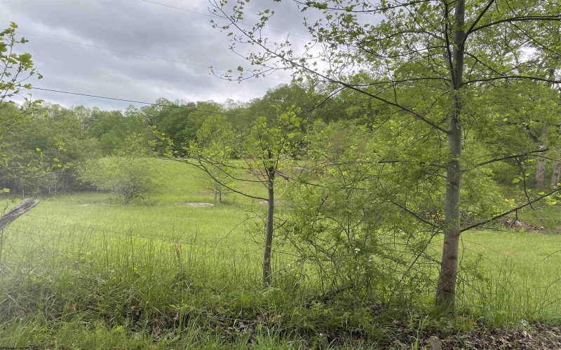 1001 Burner Road, Philippi, West Virginia 26416, ,Lots/land,For Sale,Burner,10159675
