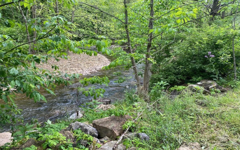 21434 Seneca Trail, Valley Head, West Virginia 26294, 2 Bedrooms Bedrooms, 5 Rooms Rooms,1 BathroomBathrooms,Single Family Detached,For Sale,Seneca,10159674