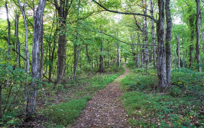 Lot 3 Lynch Road, Morgantown, West Virginia 26501, ,Lots/land,For Sale,Lynch,10159690