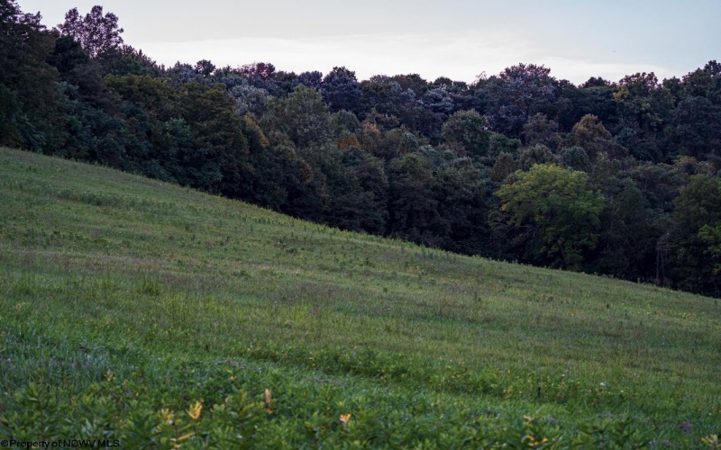 Lot 3 Lynch Road, Morgantown, West Virginia 26501, ,Lots/land,For Sale,Lynch,10159690