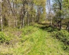 Lot 2 Lynch Road, Morgantown, West Virginia 26501, ,Lots/land,For Sale,Lynch,10159689
