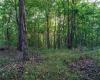 Lot 2 Lynch Road, Morgantown, West Virginia 26501, ,Lots/land,For Sale,Lynch,10159689