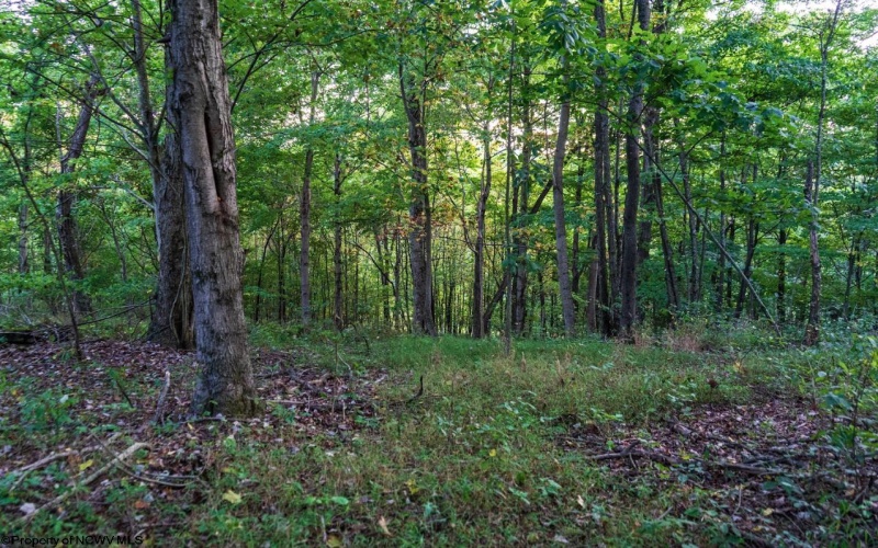 Lot 2 Lynch Road, Morgantown, West Virginia 26501, ,Lots/land,For Sale,Lynch,10159689