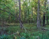 Lot 2 Lynch Road, Morgantown, West Virginia 26501, ,Lots/land,For Sale,Lynch,10159689
