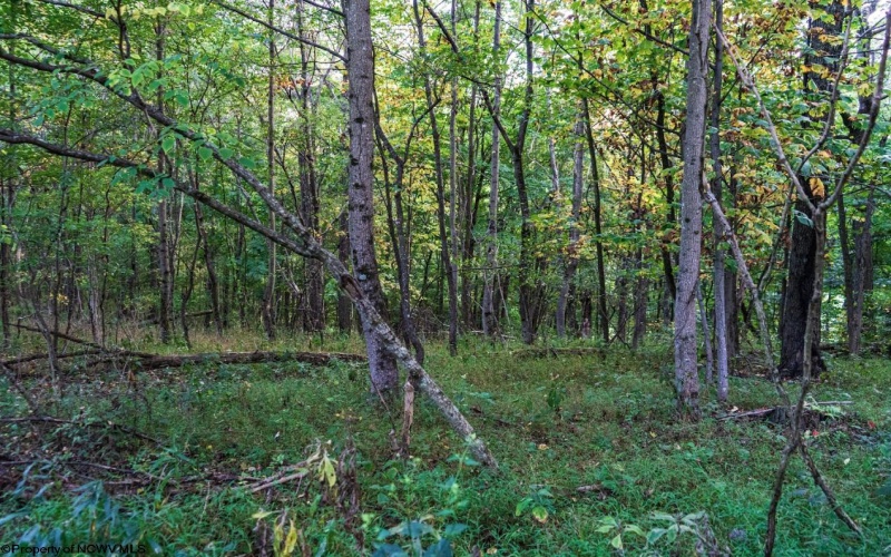 Lot 2 Lynch Road, Morgantown, West Virginia 26501, ,Lots/land,For Sale,Lynch,10159689