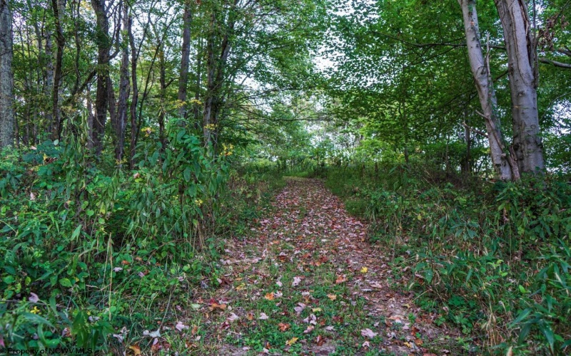 Lot 2 Lynch Road, Morgantown, West Virginia 26501, ,Lots/land,For Sale,Lynch,10159689