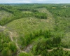 998 Hanlin Road, Bruceton Mills, West Virginia 26525, ,Lots/land,For Sale,Hanlin,10159706