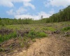 998 Hanlin Road, Bruceton Mills, West Virginia 26525, ,Lots/land,For Sale,Hanlin,10159706