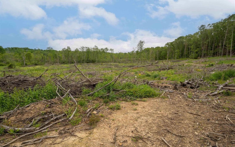 998 Hanlin Road, Bruceton Mills, West Virginia 26525, ,Lots/land,For Sale,Hanlin,10159706