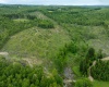 998 Hanlin Road, Bruceton Mills, West Virginia 26525, ,Lots/land,For Sale,Hanlin,10159706