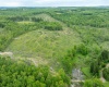 998 Hanlin Road, Bruceton Mills, West Virginia 26525, ,Lots/land,For Sale,Hanlin,10159706
